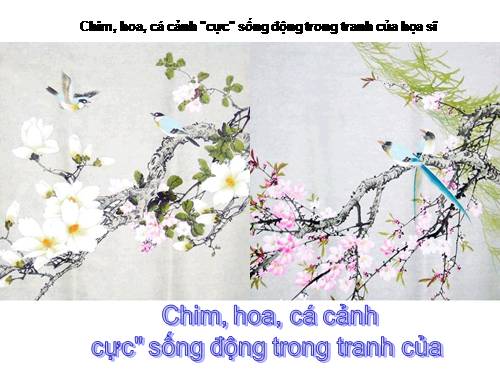 Chim, hoa, cá cảnh sống động trong tranh