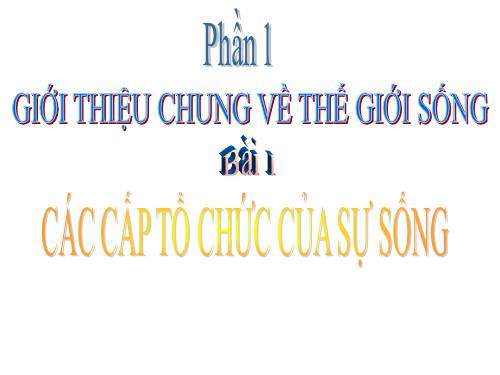 CÁC CẤP TỔ CHỨC CỦA THẾ GIỚI SỐNG