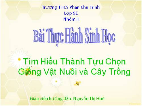 Thực hành tìm hiểu thành tựu chọn giống, sinh 9