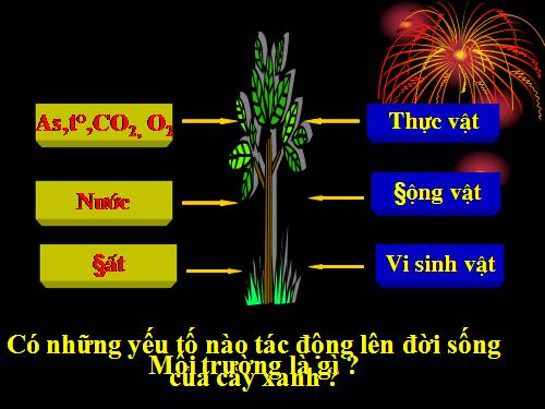 SINH VẬT VÀ MT HỘI GIẢNG NGÀNH 2012