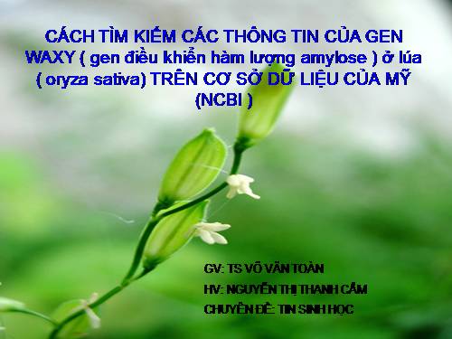 TIN SINH HỌC P19