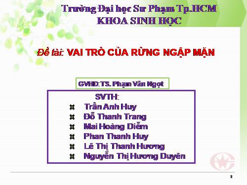 Vai trò Rừng Ngập Mặn_Thanh Huy_ĐHSP