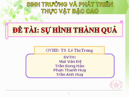Sinh trưởng và phát triển thực vật*