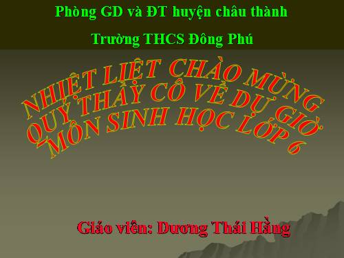 Bài 28: CẤU TẠO VÀ CHỨC NĂNG CỦA CÁC LOÀI HOA