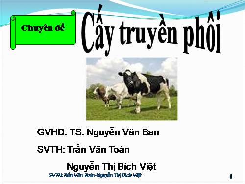 cay truyen phoi