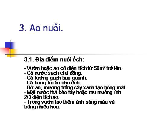 ao nuoi ech