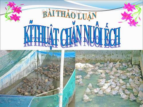 ki thuat nuoi ech