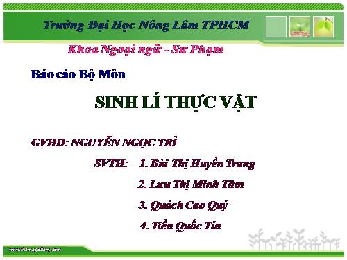 Nhu cầu và chế độ nước cho cây cà phê