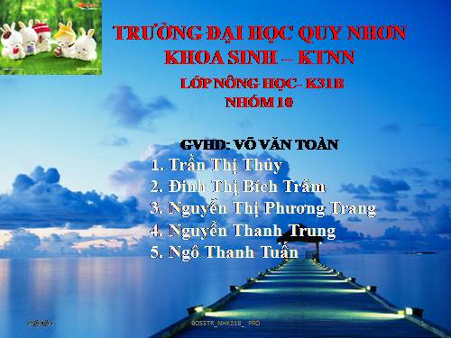 Kỹ thuat nuoi Tran gấm