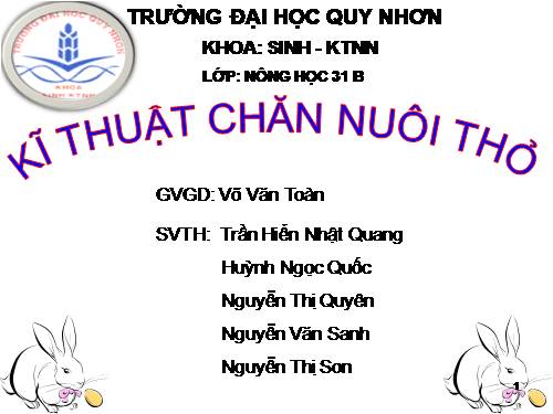 Kỹ thuật nuôi Thỏ P2