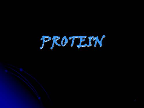 Protein