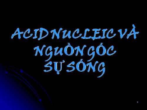 Acid nucleic