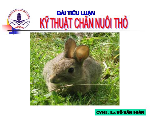 Kỹ thuật nuôi Thỏ