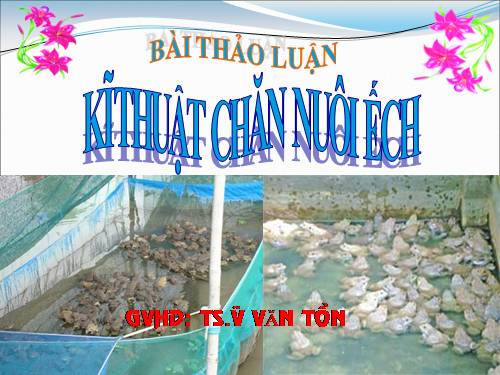 Kỹ thuat nuoi Ếch