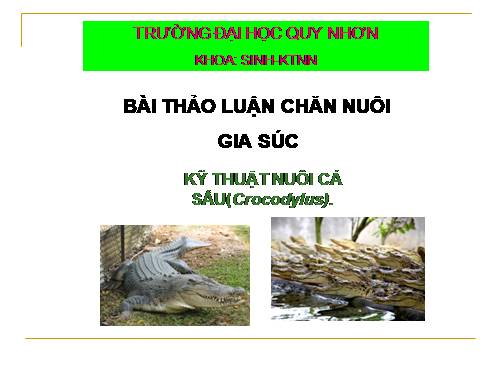 Kỹ thuat nuoi Ca Sau