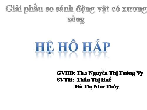 giai phau so sanh he ho hap