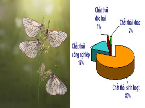 sử lý rác thải