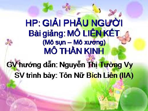 mô sụn - mô xương - mô thần kinh