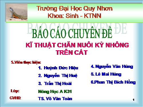 Kỹ thuật nuôi kỳ nhông