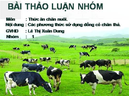 Phương thức sử dụng đồng cỏ chăn thả