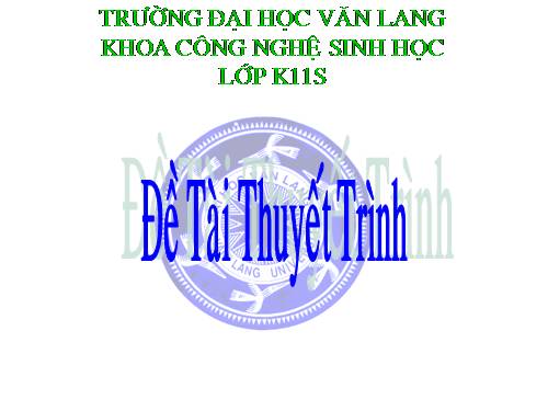 thực phẩm