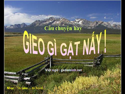 gieo gì gặt nấy