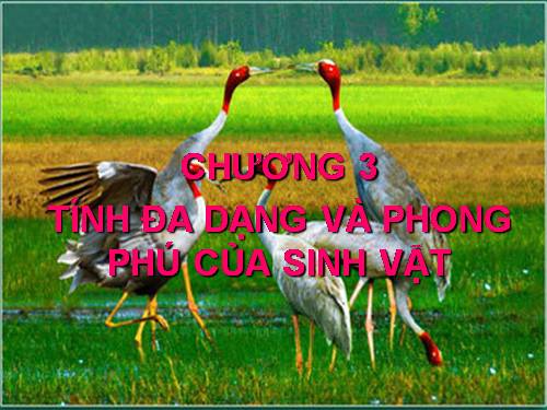 Tính đa dạng và phong phú của sinh vật