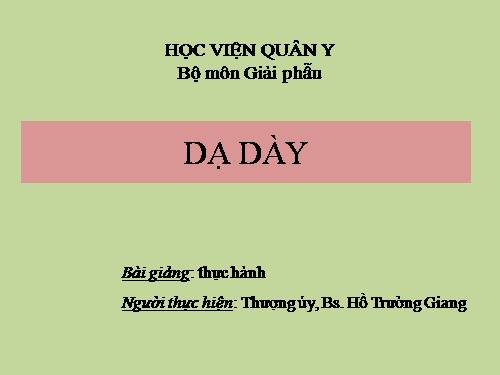 dạ dày - hvqy