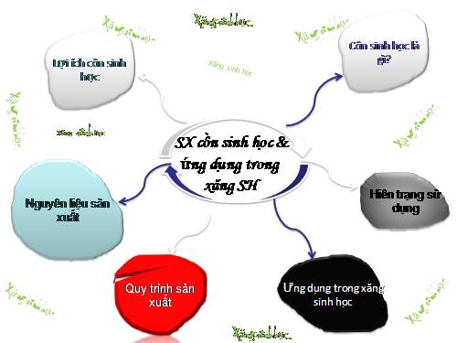 sản xuất cồn sinh học và ứng dụng trong xăng sinh học