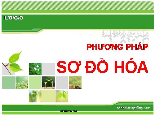 PHƯƠNG PHÁP SƠ ĐỒ HÓA