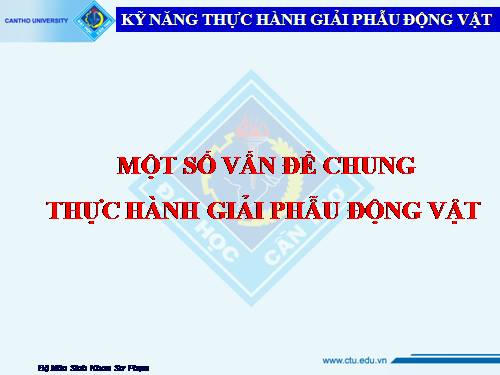 Kỹ năng thực hành một số ĐV