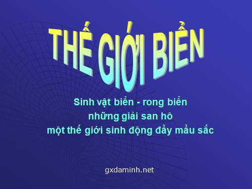 Đáy biển muôn màu 1