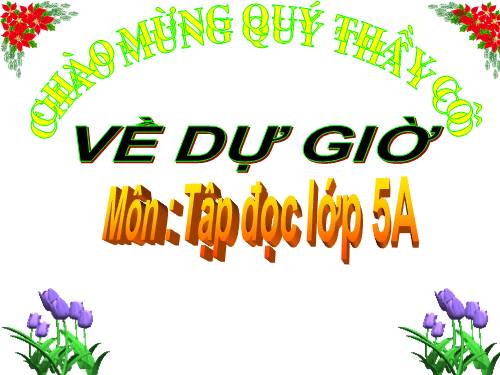 Tà áo dài Việt Nam - lớp 5 tuần 30