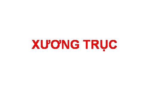 XƯƠNG TRÙC Ở NGƯỜI