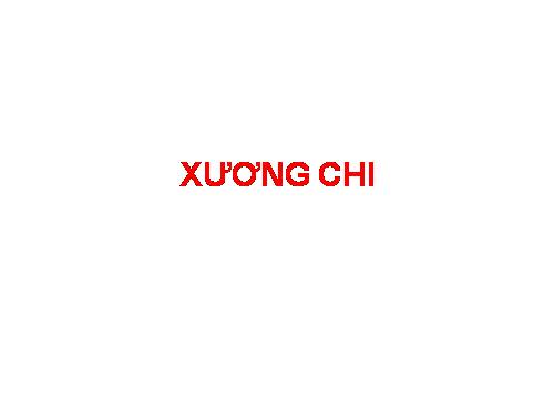 XƯƠNG CHI Ở NGƯỜI