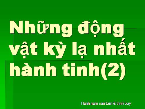 Những động vật kỳ lạ nhất hành tinh(2)