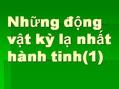 Những động vật kỳ lạ nhất hành tinh(1)