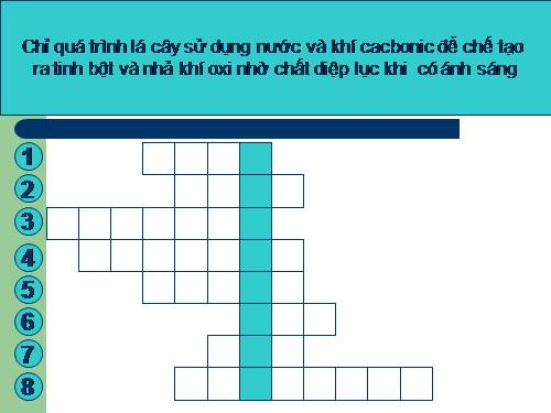 trò chơi ô chữ sinh học bài 36 Tổng kết về cây có hoa