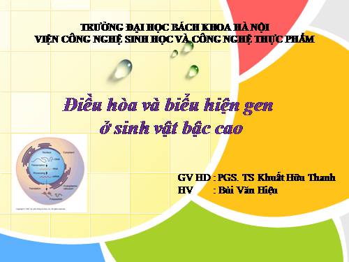 Điều hòa và biểu hiện gen ở sinh vật bậc cao