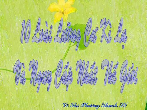 10 LOÀI LƯỠNG CƯ KÌ LẠ ...