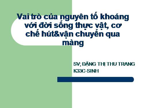 vai trò của các nguyên tố khoáng