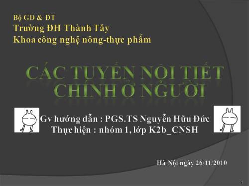 tuyến nội tiết ở người