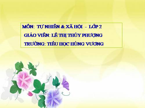 TNXH LỚP 2 - ĐƯỜNG GIAO THÔNG