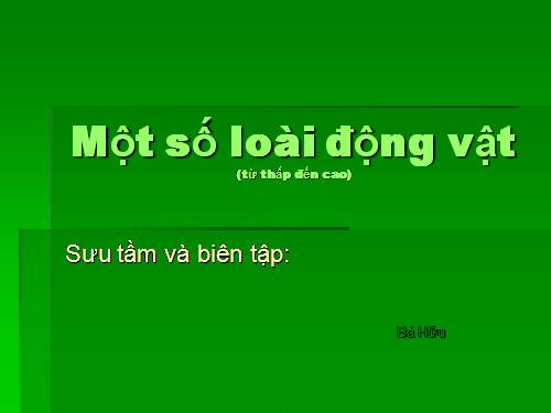 một số loài động vật