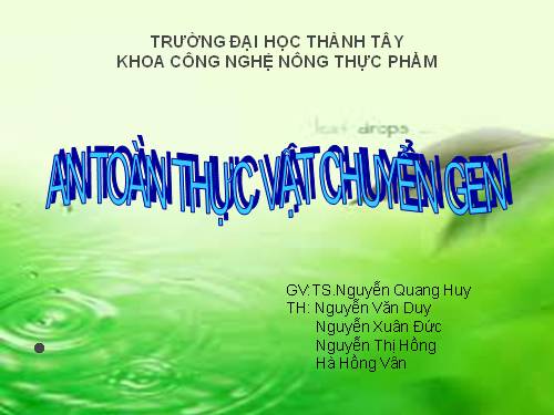 an toan thuc vat chuyen gen