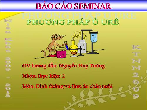 bao cao