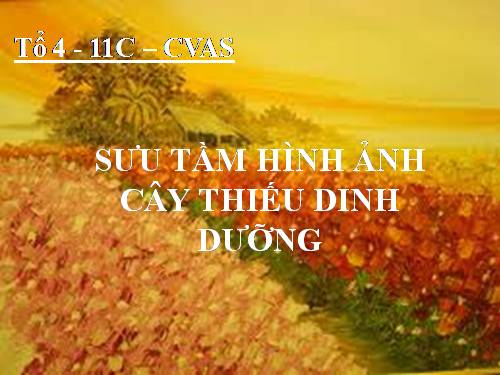 Sưu tầm hình ảnh cây thiếu dinh dưỡng