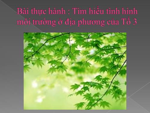 bao ve moi truong