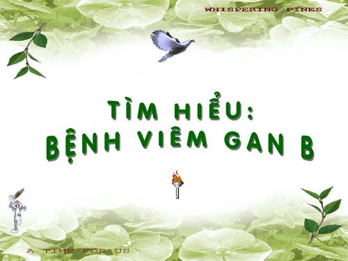 viêm gan B