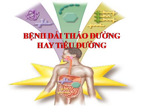 DAI THAO DUONG